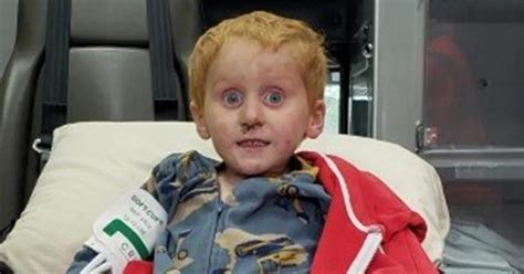 ryker webb today|How Ryker Webb, 3, survived two days lost and alone in rural ...